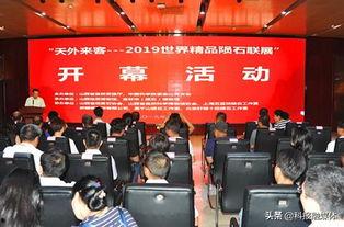 天外来客 2019,揭秘神秘宇宙访客的神秘之旅